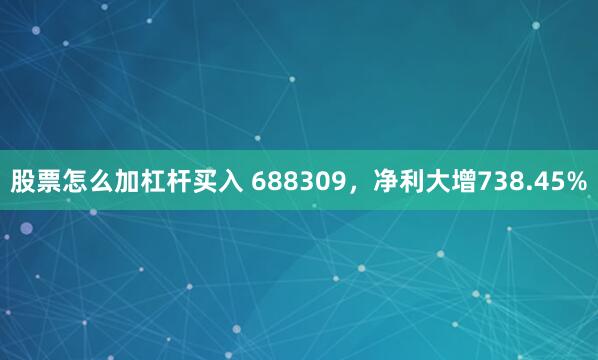 股票怎么加杠杆买入 688309，净利大增738.45%